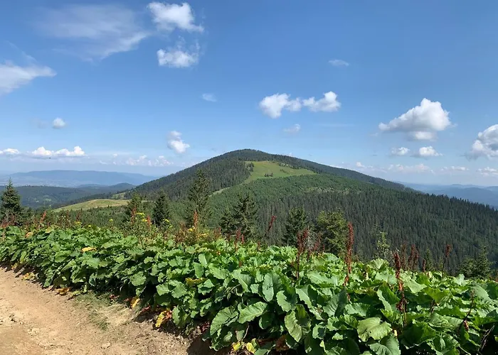 Stozek 아파트 비스와